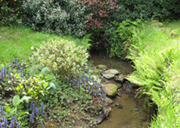 View of the stream at the bottom of the garden at the Rye Bed and Breakfast.