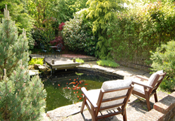 Relax at the Rye B&B by the Coy Carp pond.